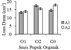 Gambar 4. Jumlah buku dan cabang total tanaman cabai pada perlakuan tunggal pupuk organik