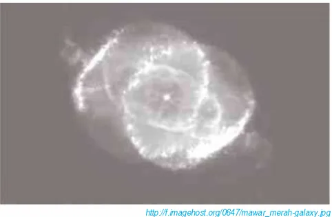 Gambar 2.2: Foto ledakan mawar yang diambil dengan teleskop hubble 