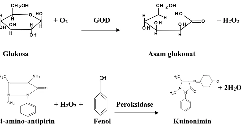 Gambar 1. Pembentukan Senyawa Berwarna Merah (kuinonimin) dari Substansi Awal Glukosa dengan Reagen GOD PAP (Chaplin, 1996, cit Rezeki, 2005)