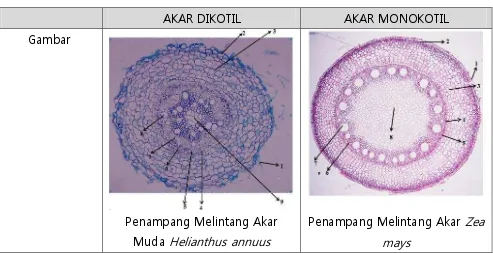 Gambar    