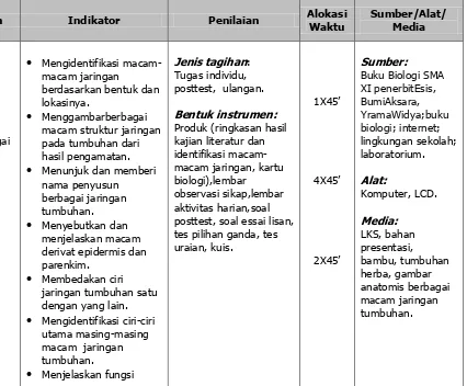 gambar anatomis berbagai  