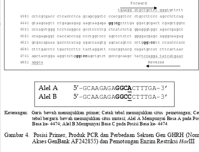 Gambar 4.  Posisi Primer, Produk PCR dan Perbedaan Sekuen Gen GHRH (Nomor 