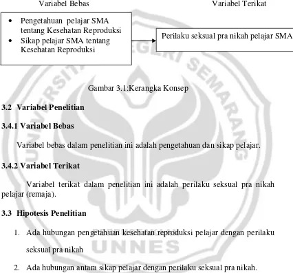 Gambar 3.1:Kerangka Konsep 