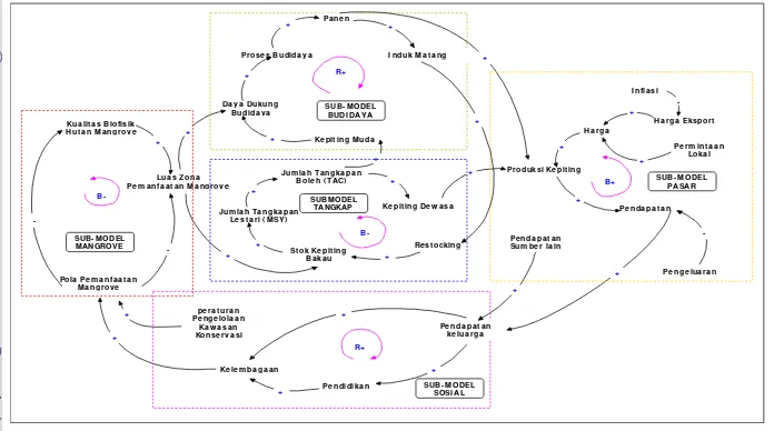 Gambar 18 Diagram kausal model konseptual pemanfaatan kepiting bakau di kawasan mangrove TNK 