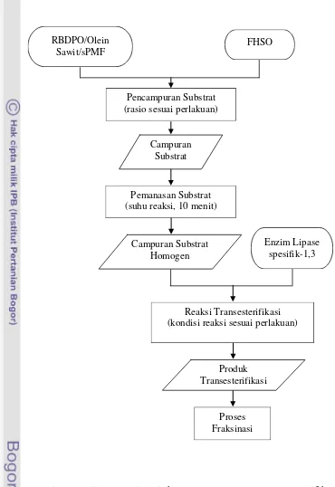 Gambar 3.2  Diagram alir proses sintesis komponen CBE secara transesterifikasi 