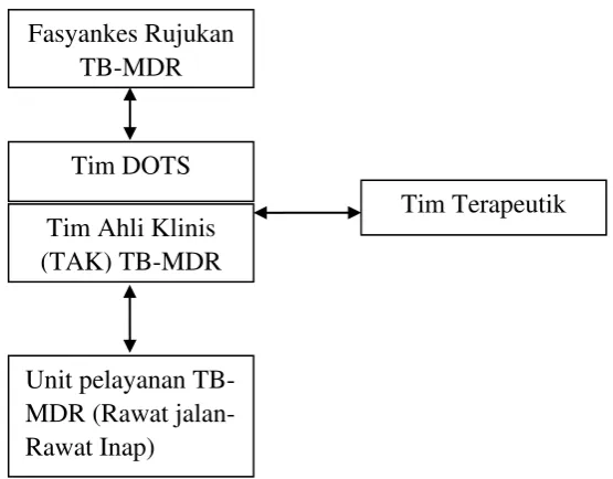 Gambar 2.1 Pengorganisasian TAK di Fasyankes Rujukan TB-MDR 