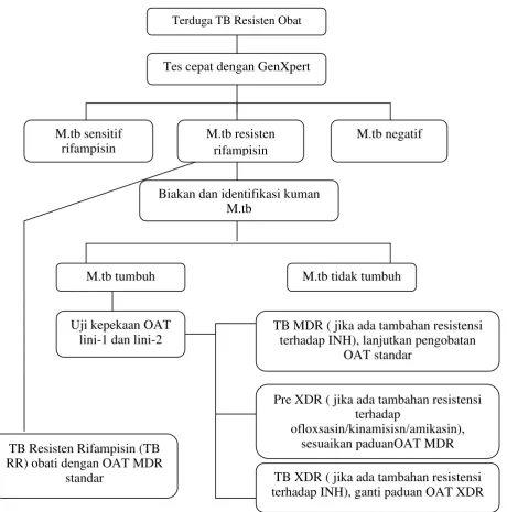 Gambar 2.3 Alur Diagnosis TB Resistan Obat  