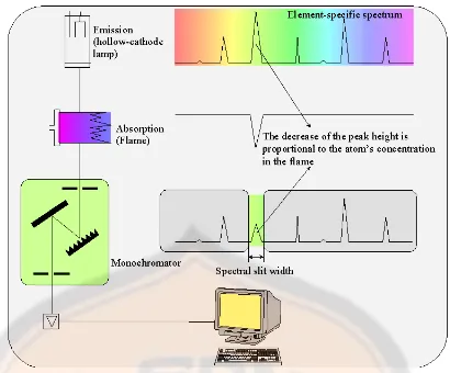 Gambar 1. Instrumen spektroskopi serapan atom(Beaty dan Kerber, 1996)