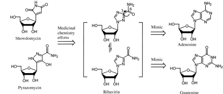 Gambar 4 Ribavirin tersusun dari dua ribonukleosida alami 
