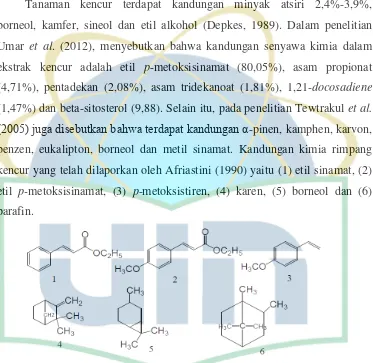 Gambar 2.1. Kandungan kimia rimpang kencur (Afriastini, 1990). 