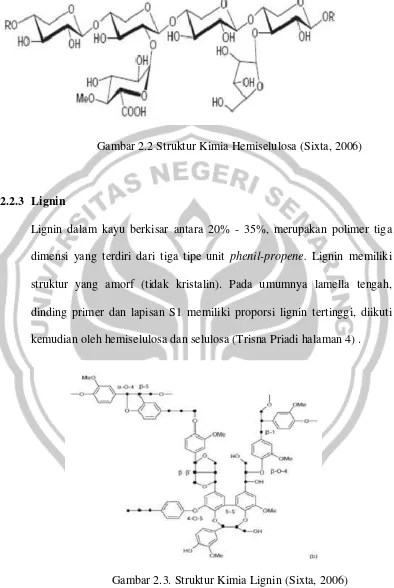 Gambar 2.3. Struktur Kimia Lignin (Sixta, 2006) 