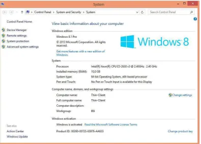 Gambar 4. 18 Informasi Sistem Host “Windows” 