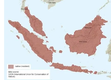 Gambar 2  Peta penyebaran M. muntjak Indonesia dan beberapa negara di Asia 