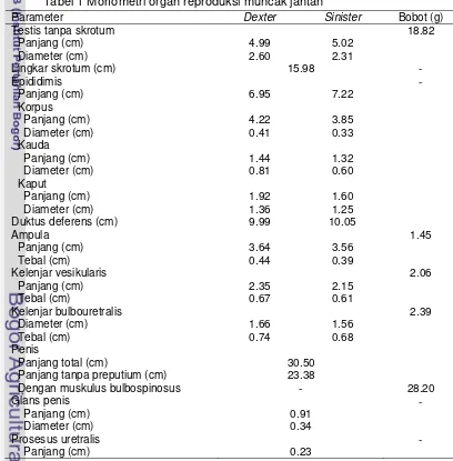 Tabel 1 Morfometri organ reproduksi muncak jantan 