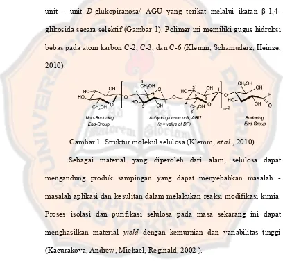 Gambar 1. Struktur molekul selulosa (Klemm, et al., 2010). 