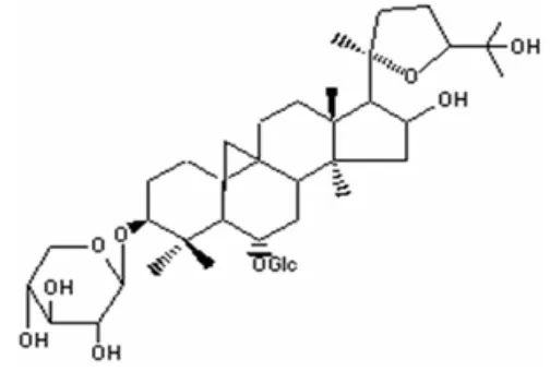 Gambar 5.  Struktur Kimia Saponin              Sumber: Dharmananda, 2006 