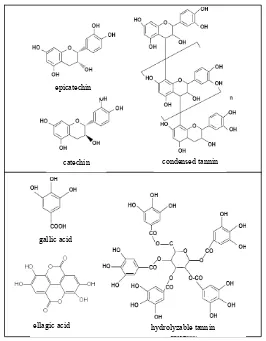 Gambar 6.  Struktur Kimia Tanin        