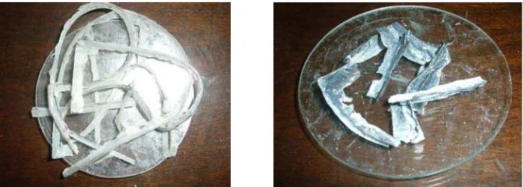 Gambar 2. Foto plastik  biodegradable hasil percobaan  
