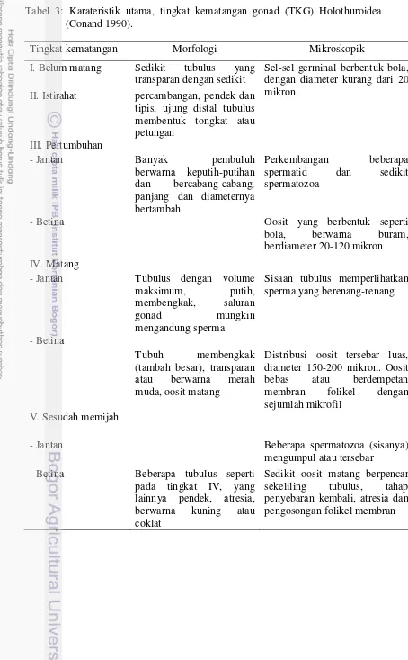 Tabel 3: Karateristik utama, tingkat kematangan gonad (TKG) Holothuroidea 
