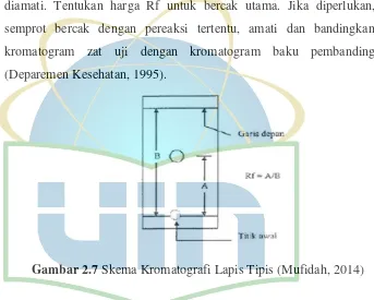 Gambar 2.7 Skema Kromatografi Lapis Tipis (Mufidah, 2014) 