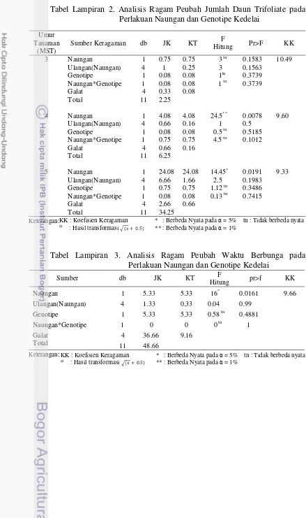 Tabel Lampiran 2. Analisis Ragam Peubah Jumlah Daun Trifoliate pada Perlakuan Naungan dan Genotipe Kedelai 