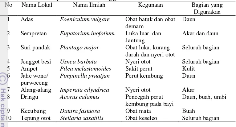 Tabel 9 Beberapa spesies tumbuhan yang sering dimanfaatkan sebagai obat oleh masyarakat Suku Tengger Desa Ranu Pane 