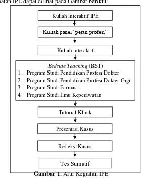 Gambar 1. Alur Kegiatan IPE 