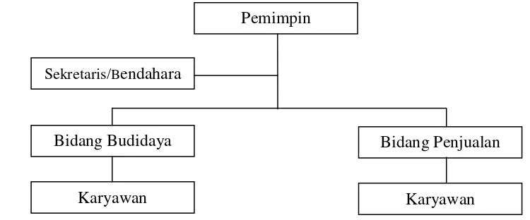 Gambar 1. Struktur Organisasi Vin’s Berry Park 