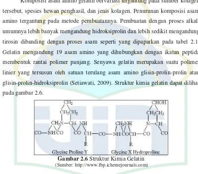 Gambar 2.6 Struktur Kimia Gelatin 