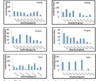 Gambar 27  Komposisi panjang dan berat 3 jenis ikan yang banyak tertangkap KM Virus selama penelitian tanggal 25 Juli – 26 Agustus  2010  