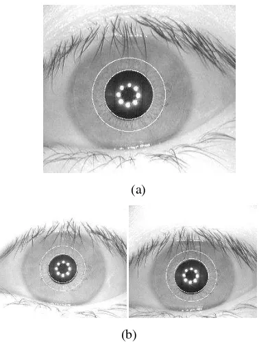 Gambar 15 Ilustrasi wilayah iris kelas 10 yang salah diklasifikasikan pada fold1 (a) citra uji, (b) citra latih