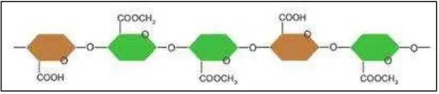 Gambar 2.4 Molekul Pektin Bermetoksil Rendah 
