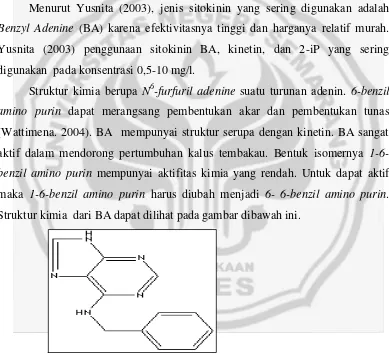 Gambar 3.  Struktur Kimia 6- benzil amino purine (Wikipedia 2006).