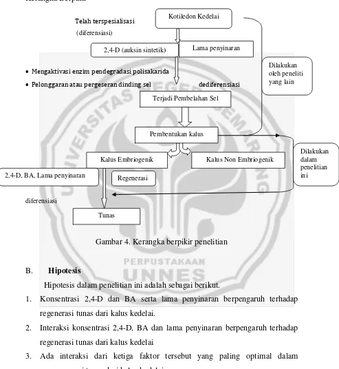 Gambar 4. Kerangka berpikir penelitian 