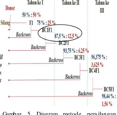 Gambar 5 Diagram metode persilangan 