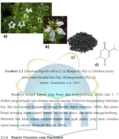 Gambar 2.2 Tanaman Nigella sativa L (a) Bunga (b) Biji (c) Struktur kimia 