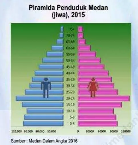 Gambar 3: Piramida Penduduk Kota Medan 