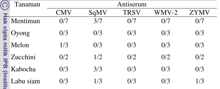 Tabel 1  Keberadaan beberapa virus pada tanaman Cucurbitaceae di lapangan 