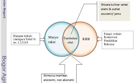 Gambar 11  Harapan masyarakat umum, fungsi KRB dan stimulus manfaat. 