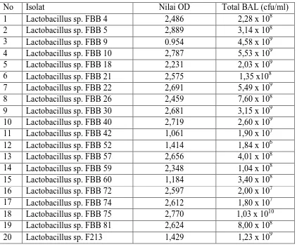 Tabel 2. Nilai OD dan total BAL beberapa isolat dari feses bayi 
