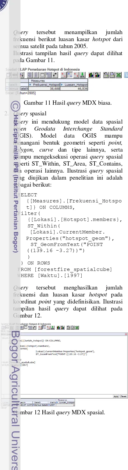 Gambar 11 Hasil query MDX biasa.  