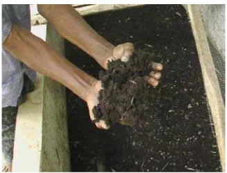 Gambar 9. 17.  Kompos hasil olahan cacing tanah siap digunakan.  