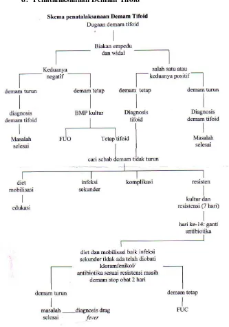 Gambar 1. Skema Penatalaksanaan Demam Tifoid (Anonim, 2006). 