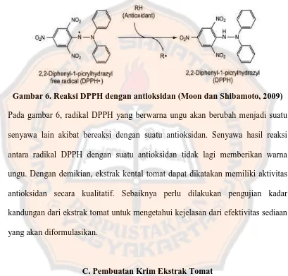 Gambar 6. Reaksi DPPH dengan antioksidan (Moon dan Shibamoto, 2009)   