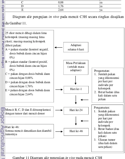 Gambar 11 Diagram alir pengujian in vivo pada mencit C3H 