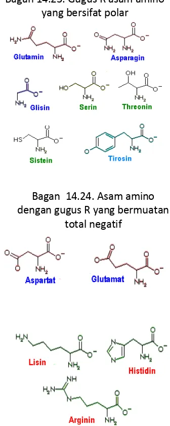 Tabel 14.3. Kandungan asam amino esensial dalam sumber makanan 