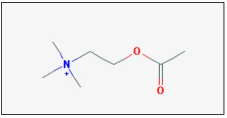 Gambar 3. Struktur Kimia Asetilkolin (Sumber : Pubchem) 