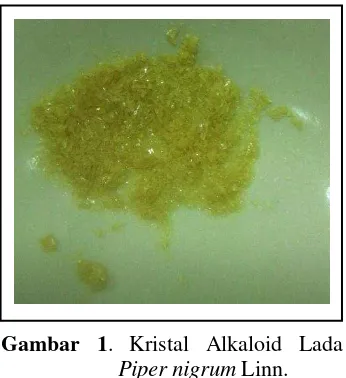 Gambar 1. Kristal Alkaloid Lada 