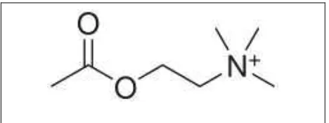 Gambar 1. Struktur Kimia Asetilkolin 