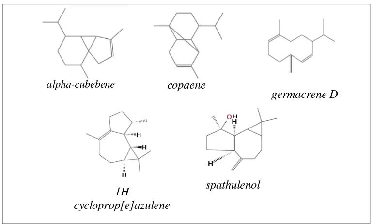 Gambar 8. Prediksi struktur kimia 5 senyawa dengan kelimpahan tertinggi 